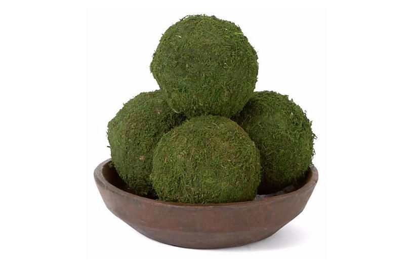 S/4 Moss Balls, Dried | One Kings Lane