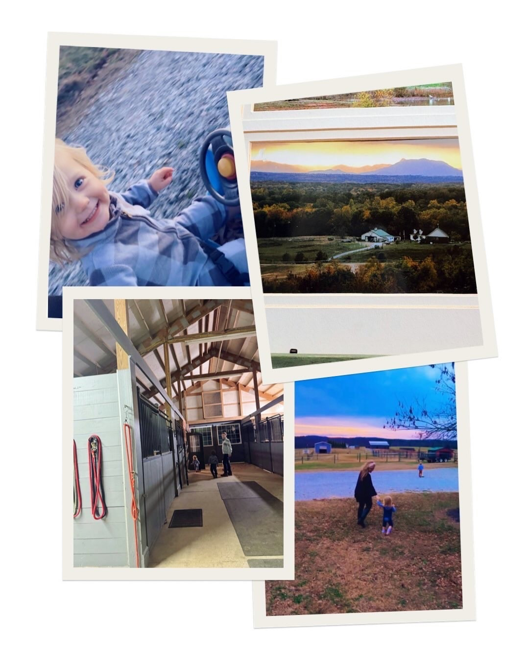 Having a record year 💫🧺🌾🚜👶🏼🌅🐓🏡 #hello2026 #hometothefarm 

I keep seeing people sharing that 2026 is the new 2016….. and I can’t help but think 💭 it’s pretty special that exactly 10 (!!) years since I graduated 🎓college (in May - go tigers! 🐯💜), we finally found and moved to our dream farm and forever H O M E !!! 🚜🏡🌾 Living our farm dream 💭 come true ✨ these days and couldn’t be more grateful!! 🥲 #welove2026 

Here’s just a peak into my camera roll 🎞️ from this past week 🌅🏡🧺🌾👶🏼🐓 - so much JOY 🤩 raising these precious country boys out on the farm 🚜🌳 with my best friend 🥰 and so grateful for all of the Lord’s blessings!! 🦌🫶🏽 GOD’S plans are immeasurably MORE than we could ask, dream, or imagine ✨ and our “farm story” continues to be a living testament to that!!!! 💫 #immeasurablymore #lifeonthefarm