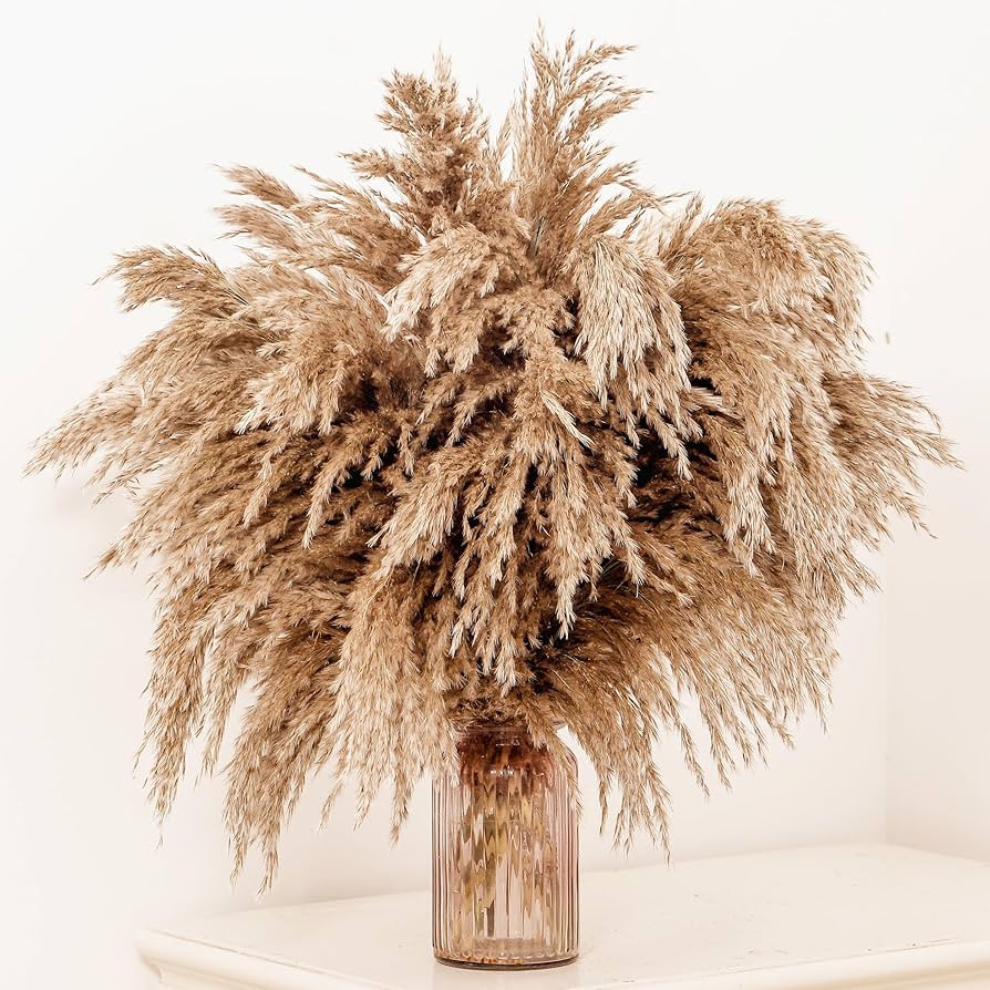 20 Pcs 23 Inch Tall Fluffy Pampas Grass XL Size Brown Dry Pompous Grass Decor Wedding Flower Boho... | Amazon (US)