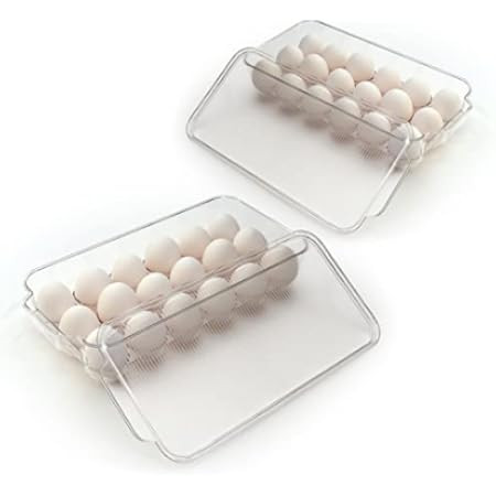 Totally Kitchen Plastic Egg Holder, BPA Free Fridge Organizer with Lid & Handles, Refrigerator Stora | Amazon (US)