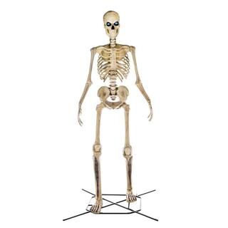 Home Accents Holiday 12 ft Giant-Sized Skeleton with LifeEyes(TM) LCD Eyes-21SV22082 - The Home D... | The Home Depot