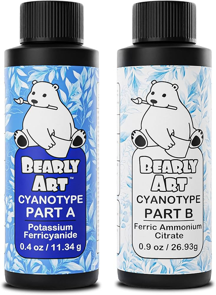 Bearly Art Cyanotype Kit - Sun - Solar Print Set for Photographic Printing on Paper and Fabric - ... | Amazon (US)