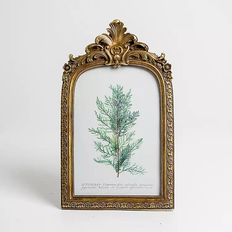 New! Juniper Sprig Gold Bordeaux Framed Art Print | Kirkland's Home