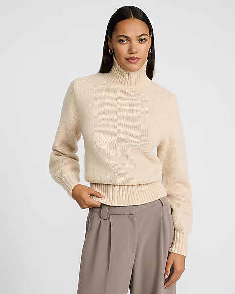 Cozy Soft Turtleneck Sweater | Express