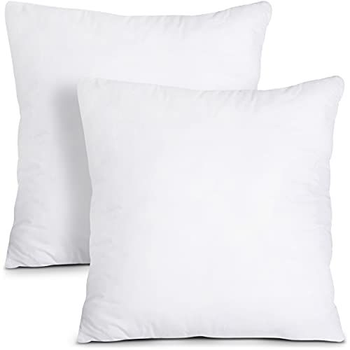 Oubonun 20 x 20 Pillow Inserts (Set of 2) - Throw Pillow Inserts with 100% Cotton Cover - 20 Inch Sq | Amazon (US)