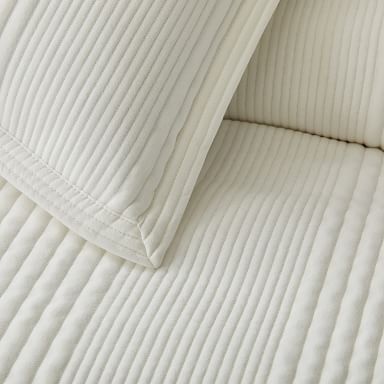 Set of 2 Shams | West Elm (US)