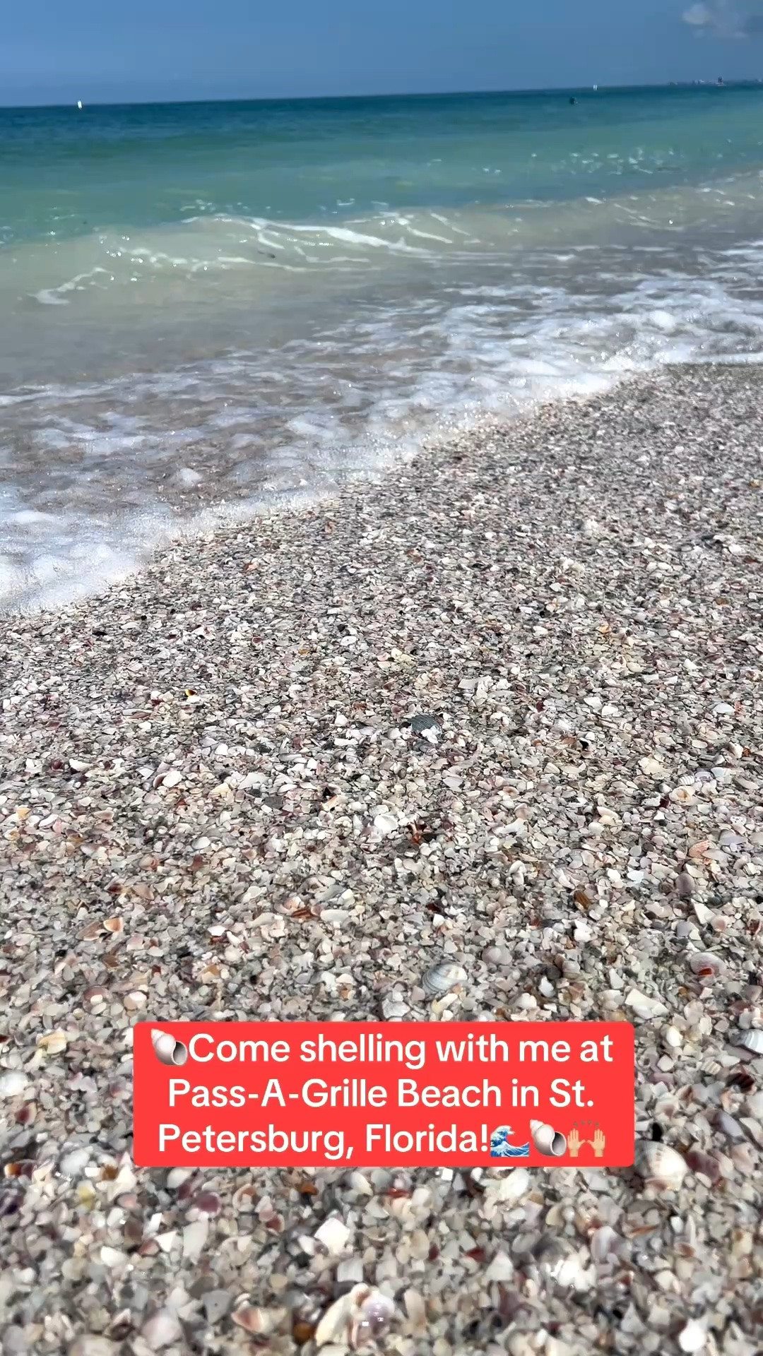 Pack these clothes and accessories for your next beach getaway and shelling adventure!

#LTKSeasonal #LTKOver40 #LTKSaleAlert #LTKTravel #LTKgrwm #LTKootd #LTKMidsize #LTKSwim #LTKvlog