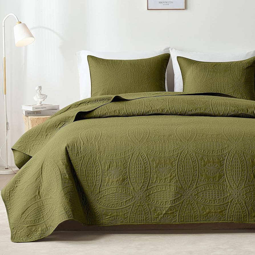 akkialla Full/Queen Quilt Set,Olive Green Lightweight Bedspread with Coin Pattern, Soft Microfibe... | Amazon (US)