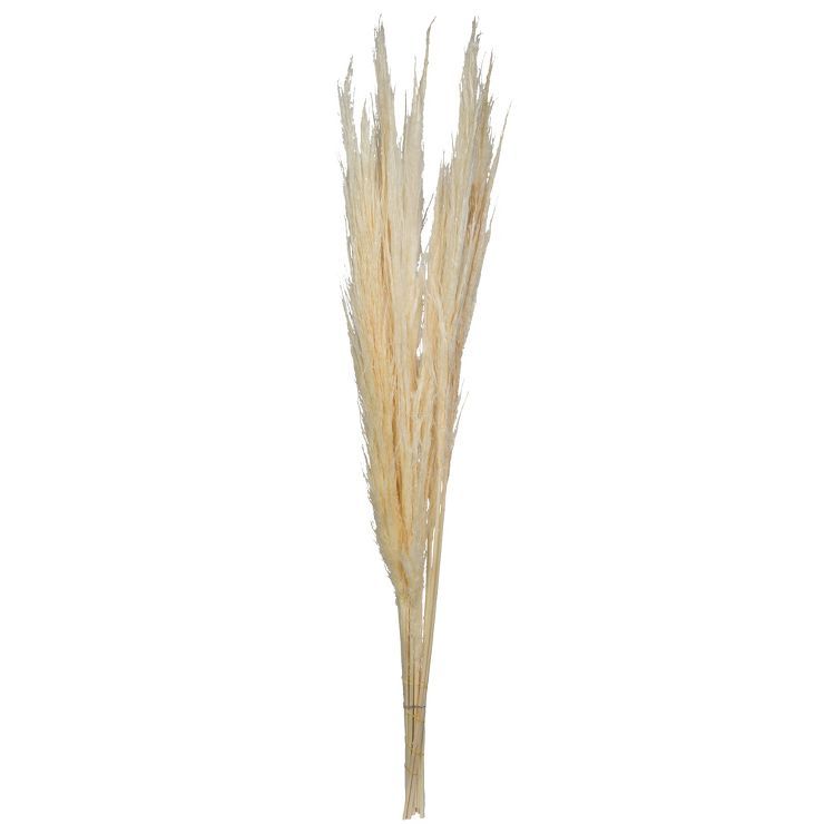 Vickerman 46" Dried Bleached Pampas Grass, 6 pieces per Pack. | Target