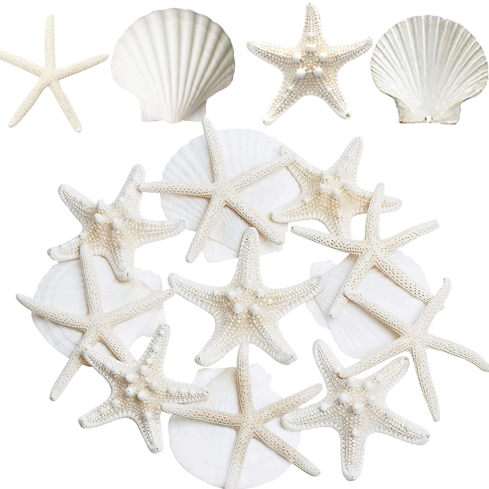 JQAQJU 3-4 Inches Large Starfish and Scallop Shells for Crafts 12PCS, Natural Beach Sea Shells fo... | Amazon (US)
