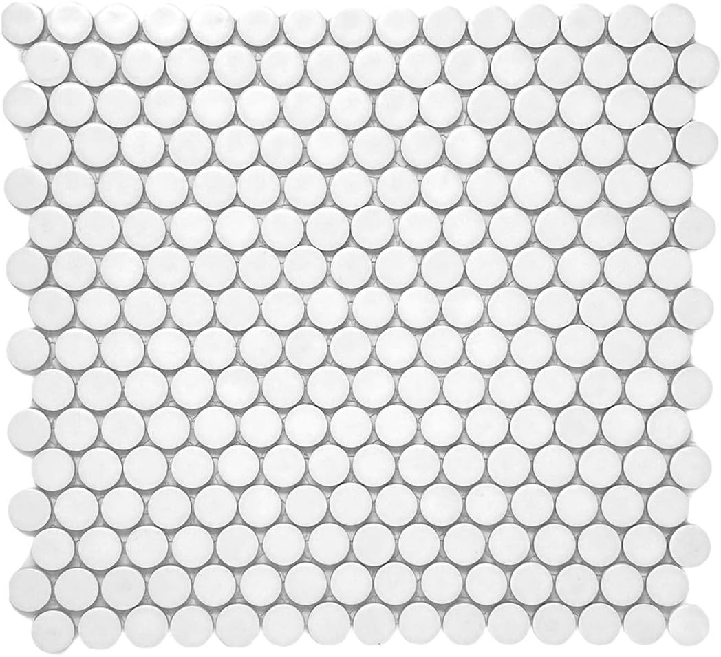 Penny Round Tile Arctic White Porcelain Mosaic Matte Look Wall and Floor Tile (Box of 10 Sheets) ... | Amazon (US)