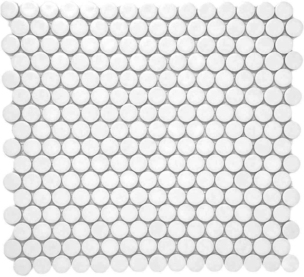Penny Round Tile Arctic White Porcelain Mosaic Matte Look Wall and Floor Tile (Box of 10 Sheets) ... | Amazon (US)