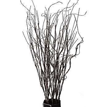 FeiLix 10PCS Lifelike Curly Willow Branches Decorative Dried Artificial Twigs, 30.7 Inches Fake B... | Amazon (US)