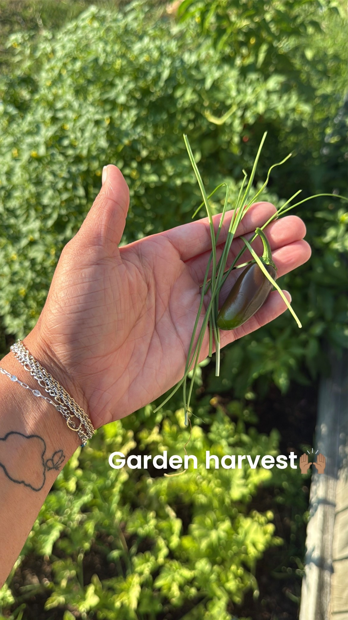 Start the garden besties!!  It’s so rewarding 🥹😍 #simplymadisynn #garden #gardentips #lowes 

#LTKHome #LTKFindsUnder100 #LTKSeasonal