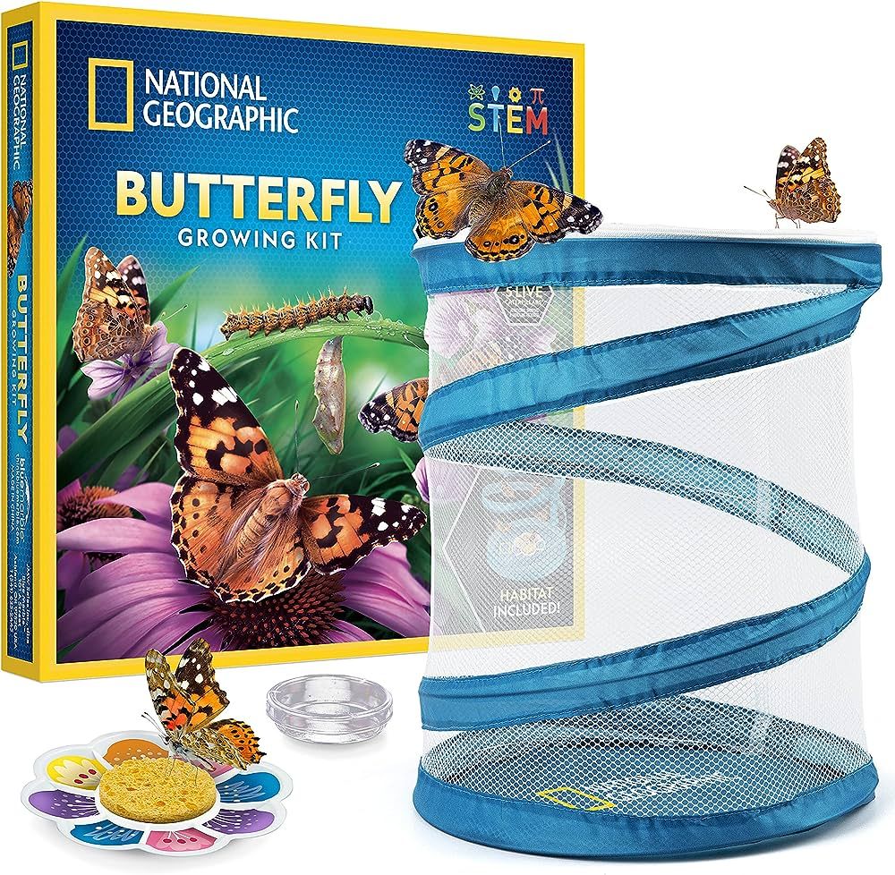 NATIONAL GEOGRAPHIC Butterfly Growing Kit - Butterfly Habitat Kit with Voucher to Redeem 5 Caterp... | Amazon (US)