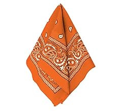 womens Paisley Bandana | Amazon (US)