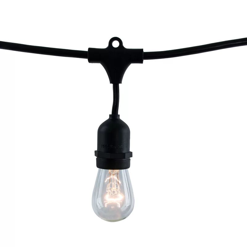 48' Outdoor 15 - Bulb Standard String Light | Wayfair North America