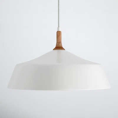 Edmar 1 - Light Single Dome Pendant with Wood Accents | Wayfair North America
