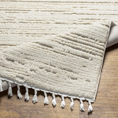 Ibarra Textured Ivory Area Rug with Tassels | Boutique Rugs