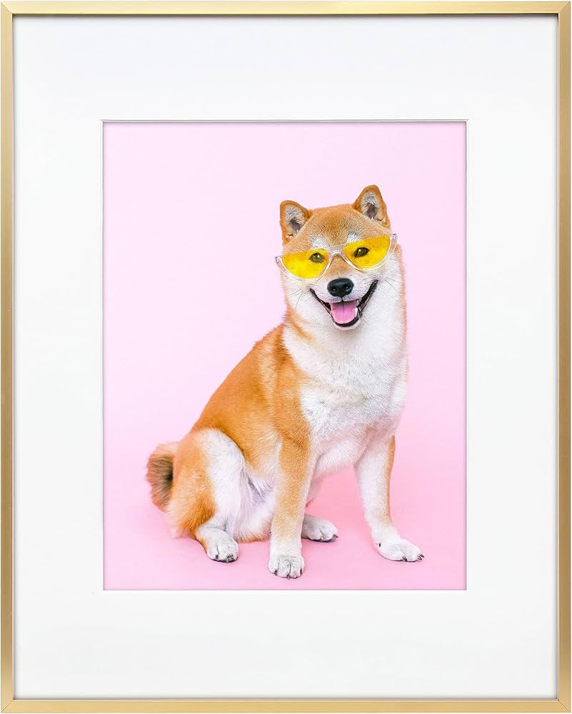 FrameWorks 8x10 Matted to 5x7 Picture Frame - Gold Aluminum Picture Frames with Tempered Glass, P... | Amazon (US)