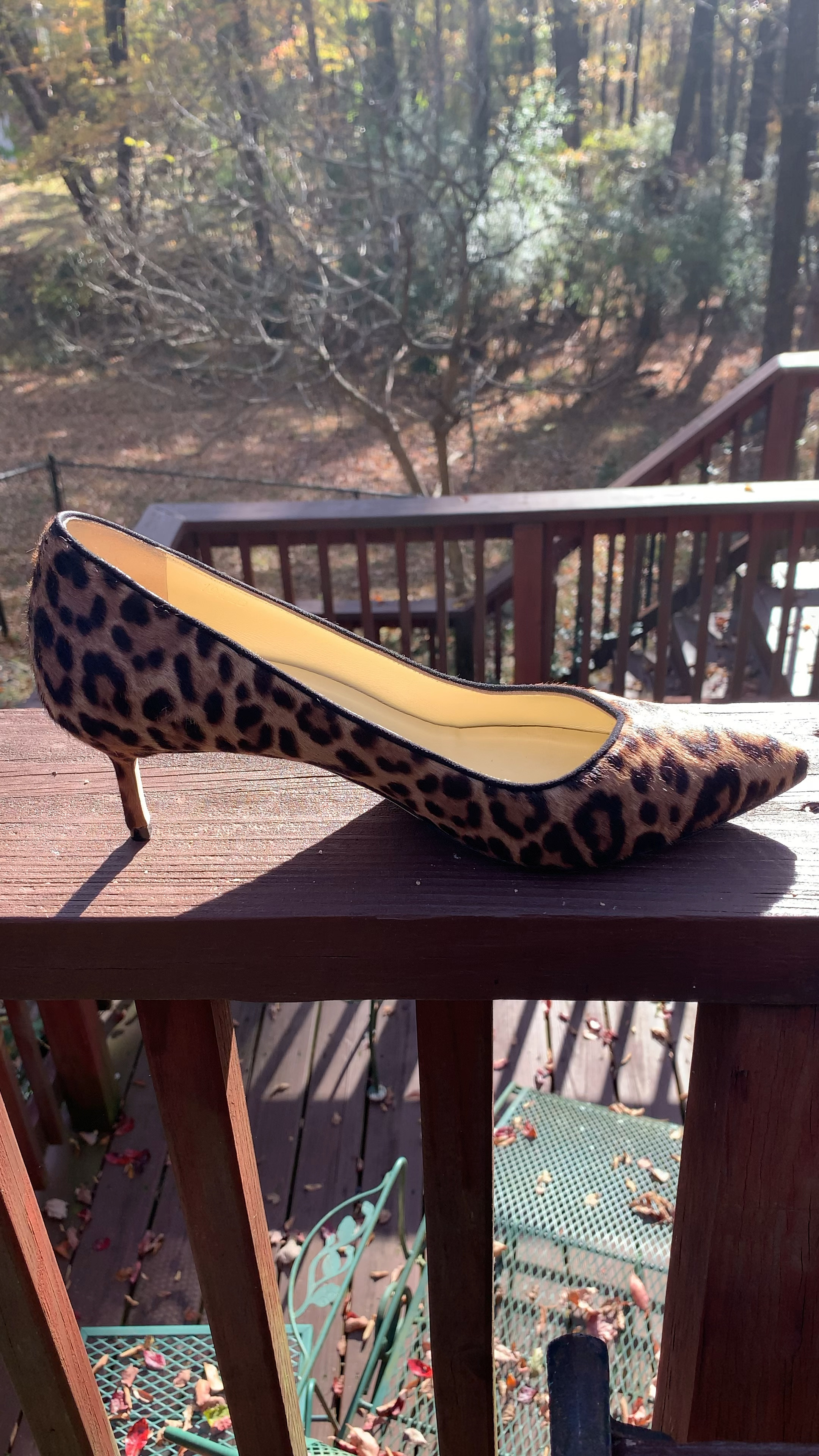 One of my Favorite Fall Lineups…. Now 30% at Sarah Flint!!  👠🥿👢👡 (the linked items do Not reflect the 30% off)

Shop these and so many others during her Early Black Friday sale- going on now.

And follow me for more Fashion Inspiration❤️

#ltkvideo
#ltkover40

#LTKstyletip #LTKshoecrush #LTKSeasonal