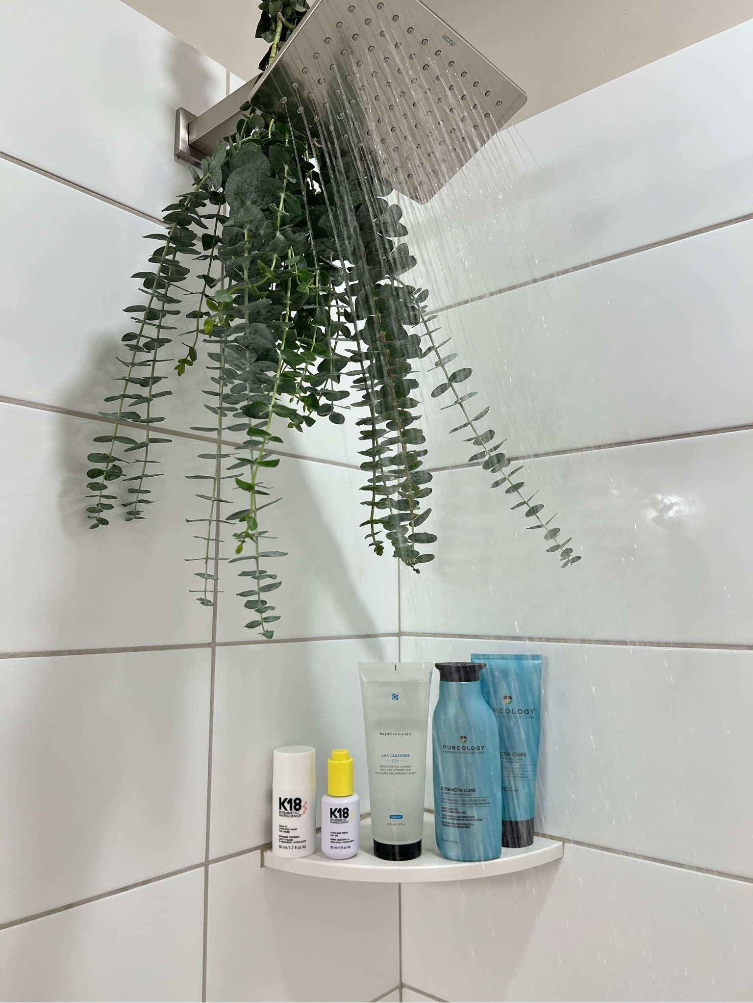 Shower crew✨ these are my tried and true products! 

#LTKbeauty #LTKhome #LTKfindsunder50