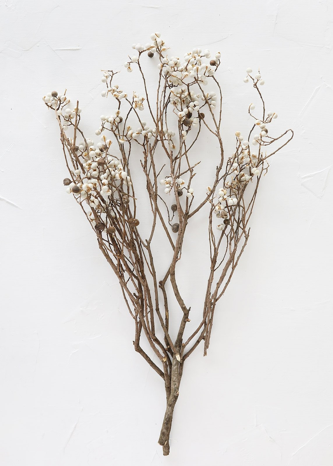 White Natural Excoecaria Chinese Tallow Berries - 15-22" Tall | Afloral (US)