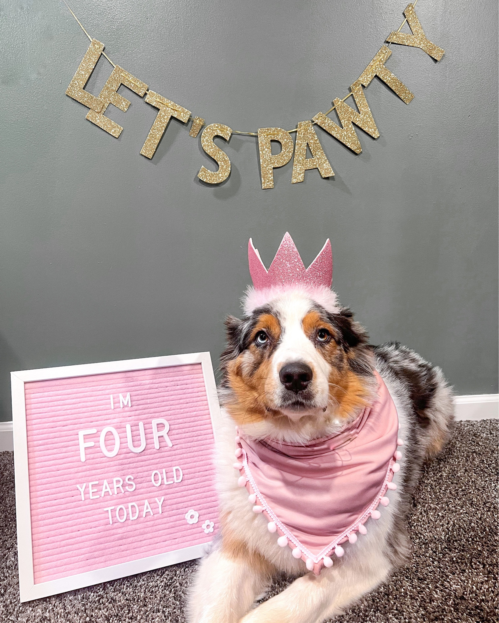 birthday celebrations for our sweet girl!

#LTKFind #LTKU #LTKGiftGuide