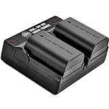 BM 2-Pack of LP-E6N Batteries and Dual Battery Charger for Canon EOS R, EOS R5, EOS 90D, EOS 60D, EO | Amazon (US)