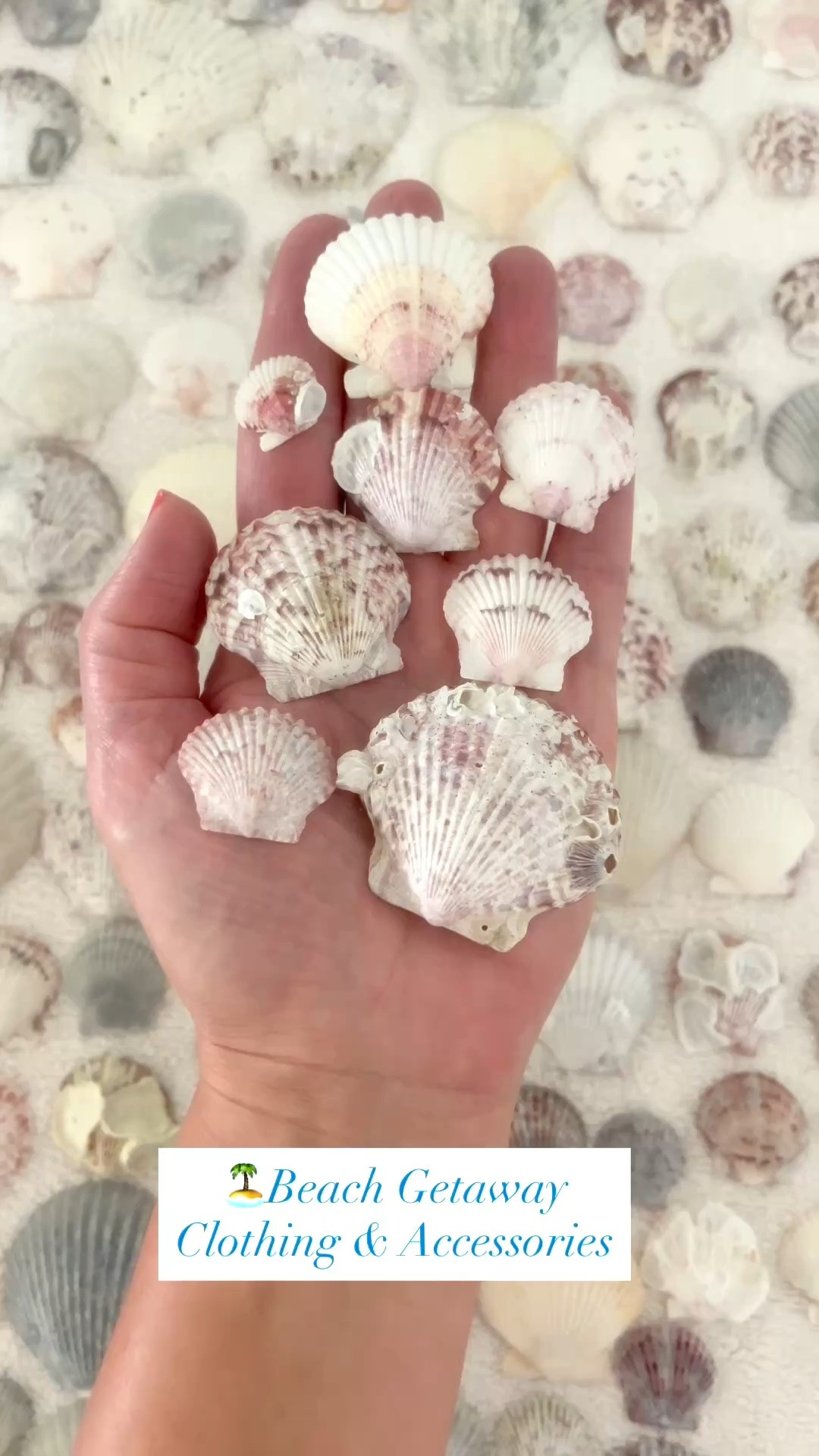 Pack these clothing pieces and accessories for your next beach getaway!

#LTKSeasonal #LTKOver40 #LTKxMadewell #LTKTravel #LTKgrwm #LTKootd #LTKMidsize #LTKSwim #LTKvlog