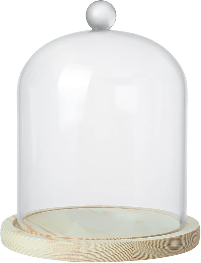 Clear Cloche Glass Dome,Glass Cloche to Cover Plants and Decorations,Display Dome Cloche for Dess... | Amazon (US)