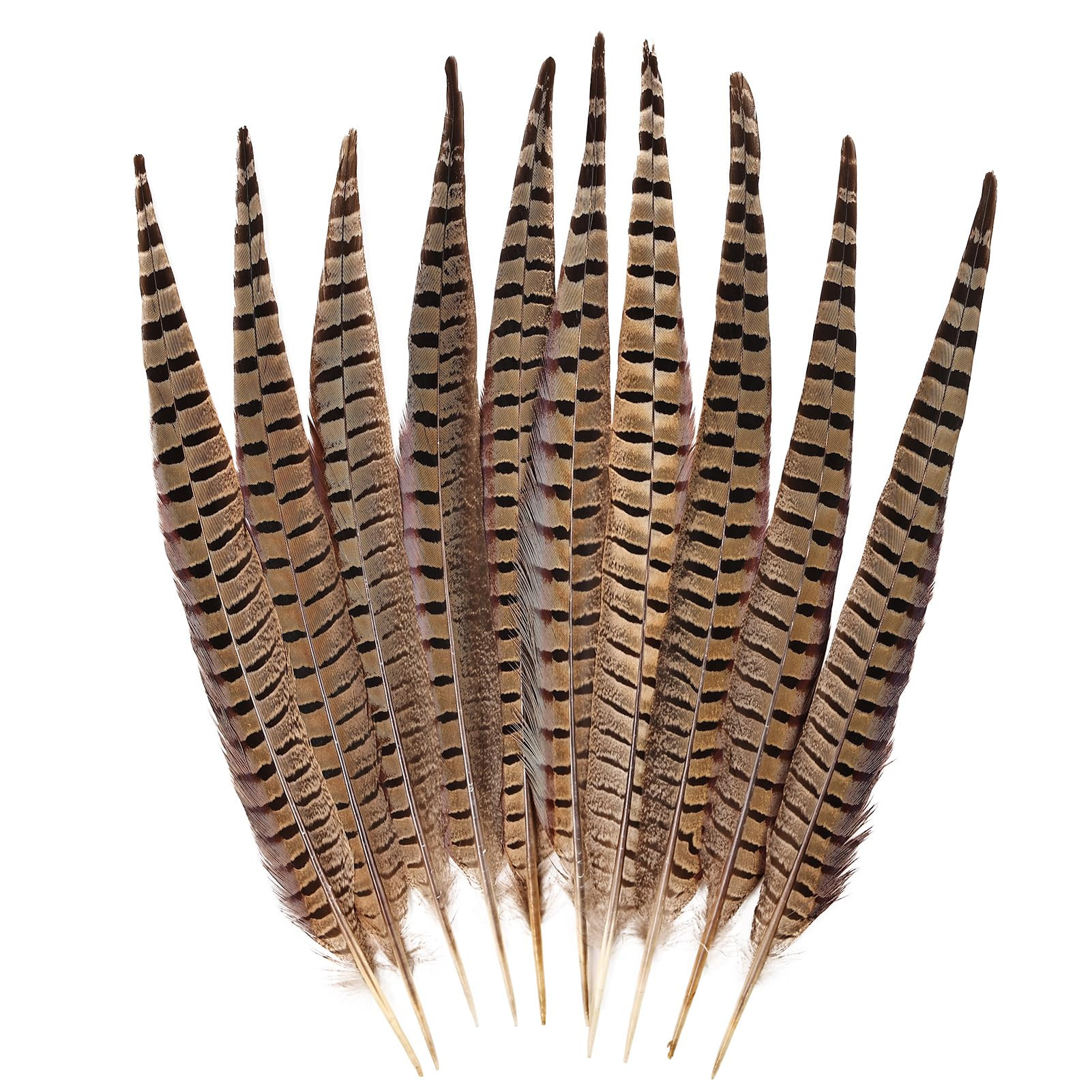 FeelfunFeather 5pcs Pheasant Feather 16-18inch 40-45cm Natural Male Ringneck Tails Feathers for D... | Amazon (US)