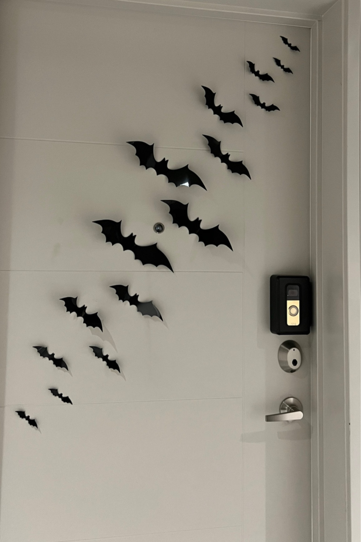 Apartment door minimal Halloween decor! 

#LTKhome #LTKfindsunder50 #LTKHalloween