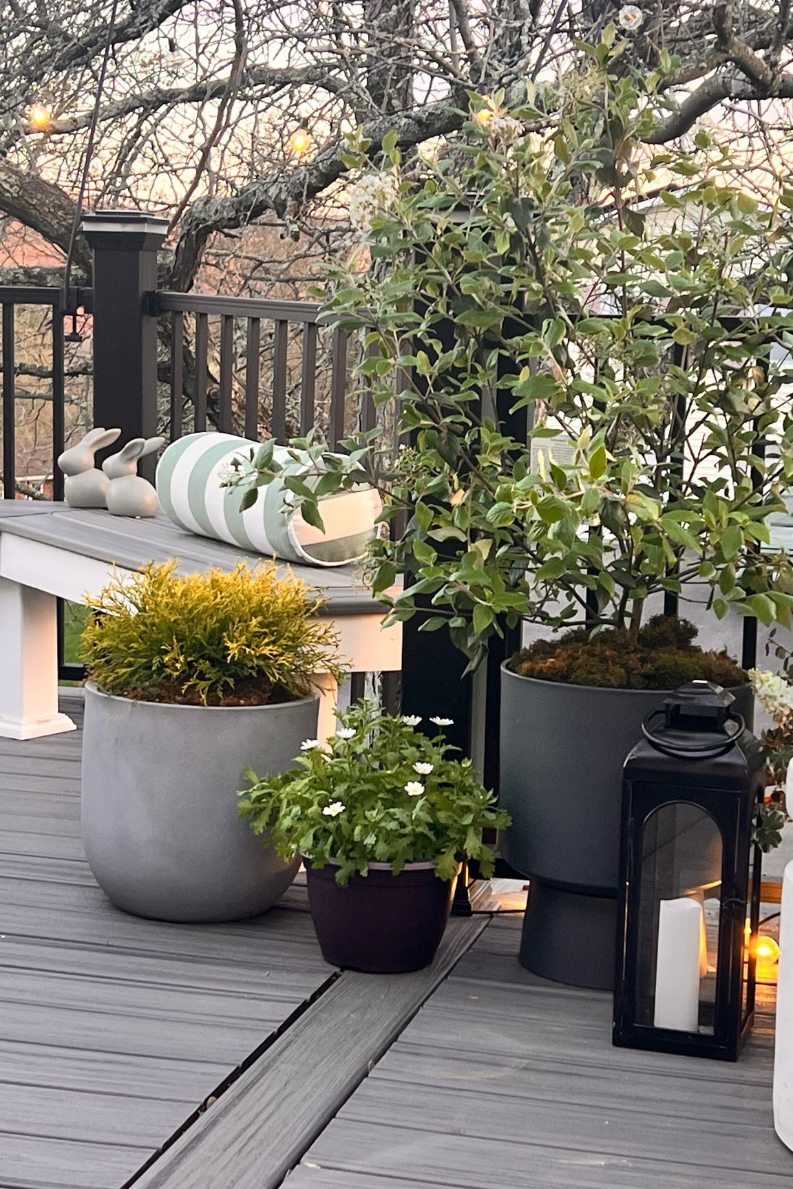 I am so happy working on plants! My goal is to convert my patio into an elegant and beautiful outdoor space! 
Is so important to me, have the right planters, lanterns, pillows and of course plants!!! Living in NYC is that easy keeping all the plants alive. But, finally I find the best options! 


#LTKhome #LTKstyletip #LTKSeasonal