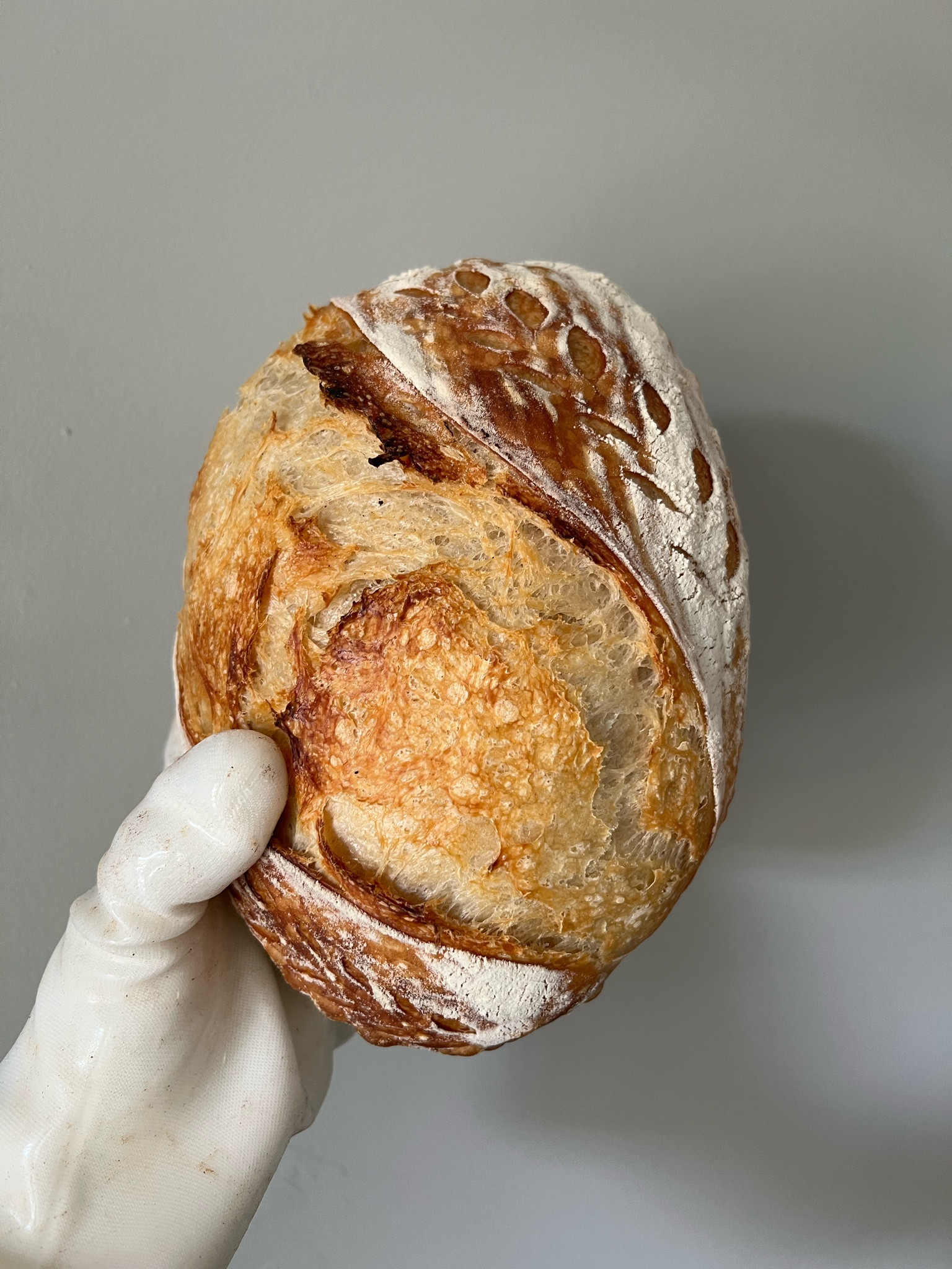 Sourdough Starter Kit 

#LTKGiftGuide #LTKHome #LTKFindsUnder50