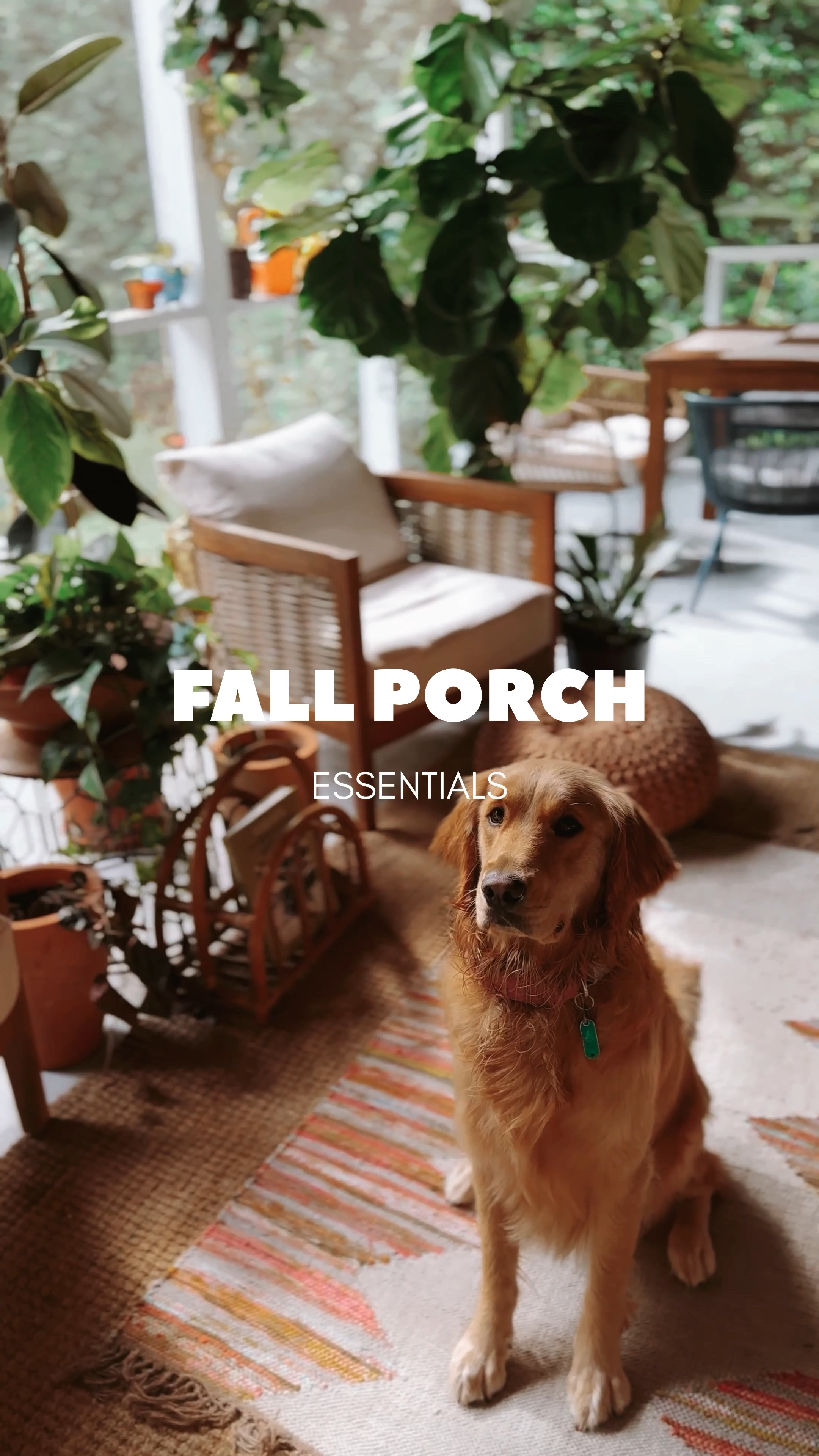 It’s almost the most magical time of year, FALL! Glam up your porches for fall weather with these goodies do you can live outside!

World market, boho design, porch weather, family friendly, outdoors

#LTKFamily #LTKHome #LTKSeasonal