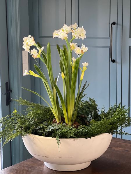 A simple winter centerpiece that will work well in to the spring! 

White large decorative bowl, moss, pinecones, garland and artificial paperwhite bulbs and flowers.



#LTKhome #LTKSpringSale #LTKfindsunder100