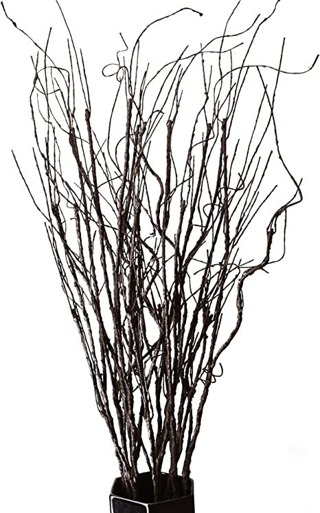 FeiLix 10PCS Lifelike Curly Willow Branches Decorative Dried Artificial Twigs, 30.7 Inches Fake B... | Amazon (US)