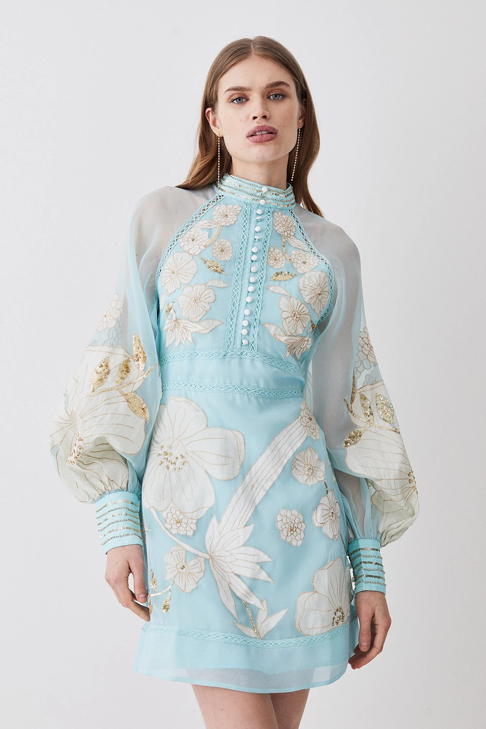 Applique Organdie Buttoned Woven Skater Dress | Karen Millen US