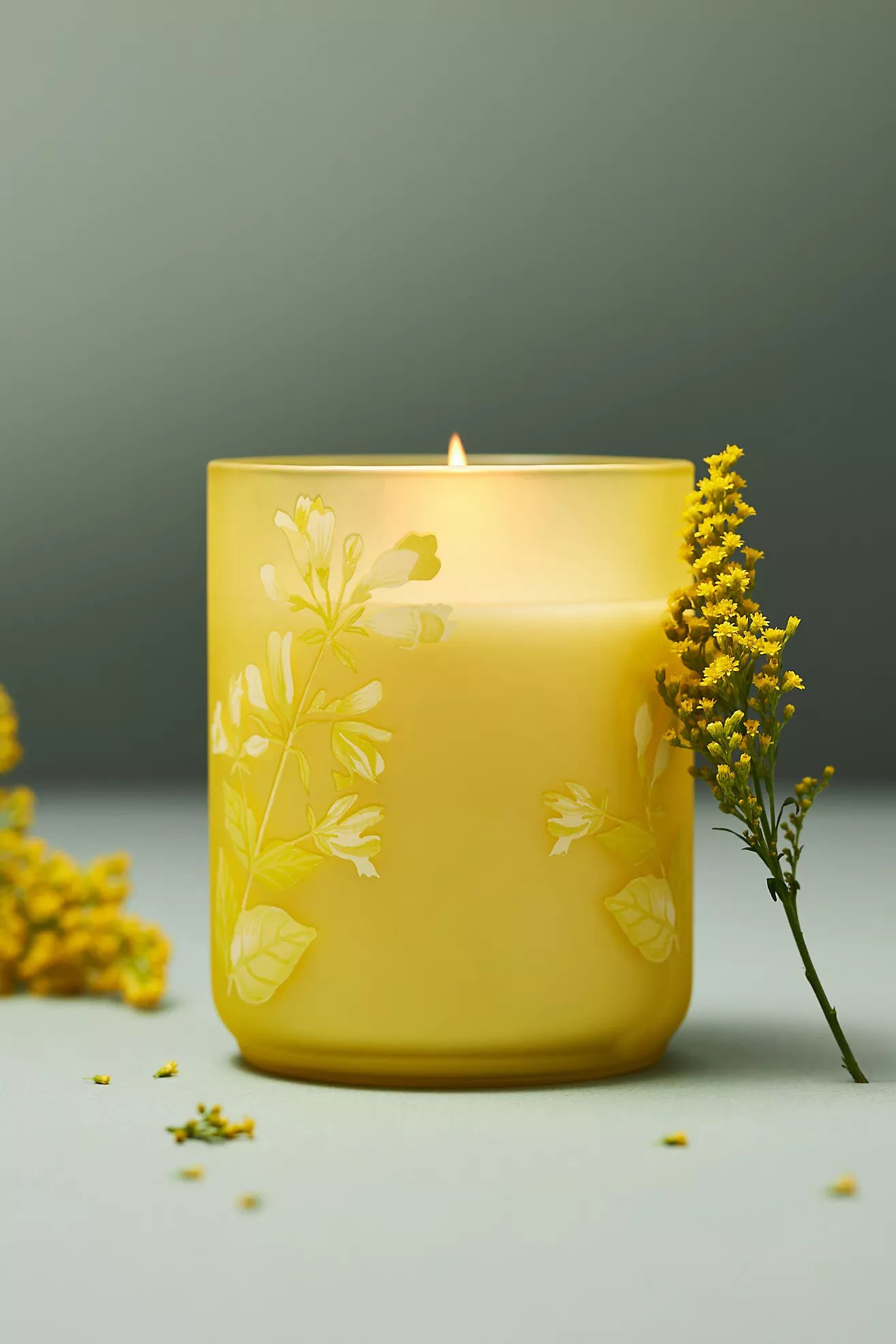 Eloise Fresh White Tea & Lotus Floral Boxed Candle | Anthropologie (US)
