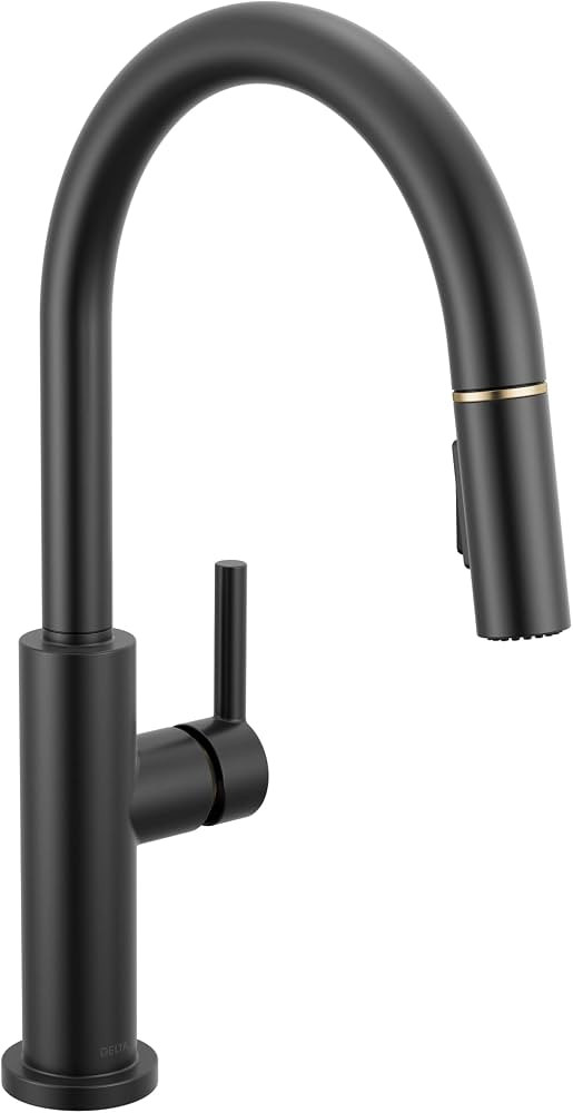 Delta Nicoli Black & Gold Kitchen Faucet with Pull Down Sprayer, Modern Single Hole Kitchen Sink ... | Amazon (US)