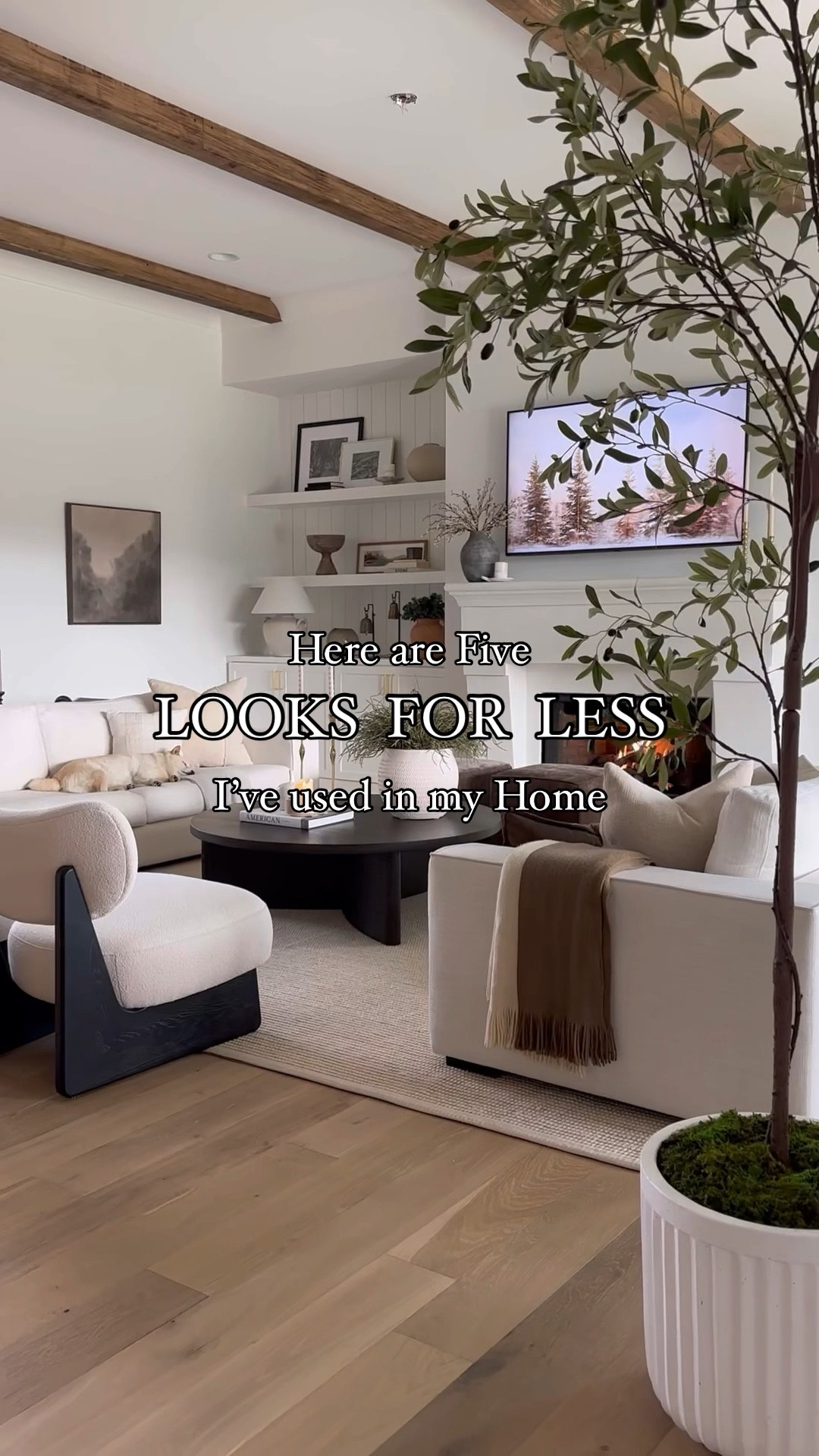 Pay less for these designer looks! Great quality and I love them all. 



#LTKfindsunder100 #LTKhome #LTKstyletip