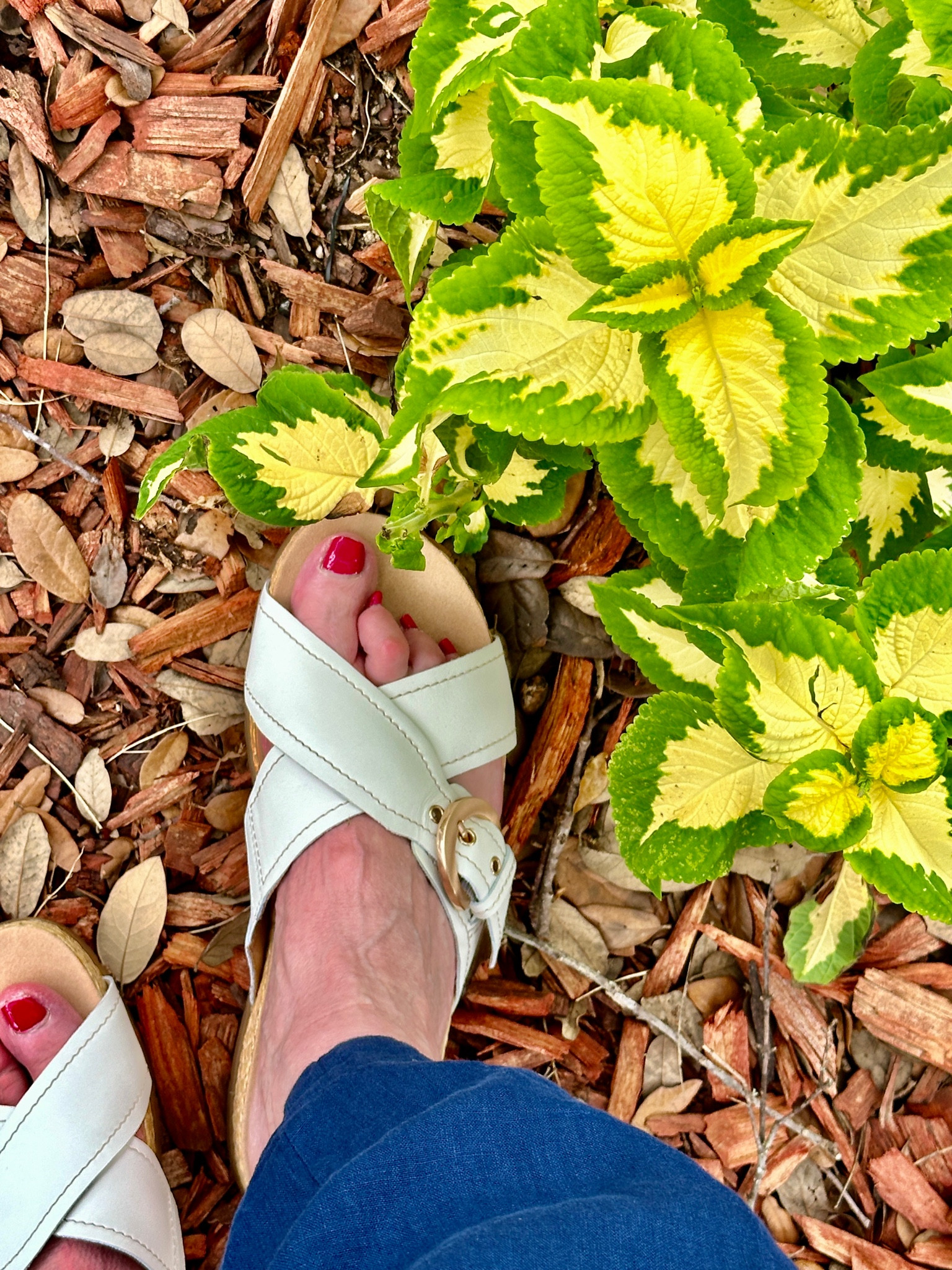 Love these comfortable Clarks Originals sandals for warmer weather! QVC features these as the special for the day!  I just might pick up another color too!

#LTKFindsUnder100 #LTKOver40 #LTKSeasonal