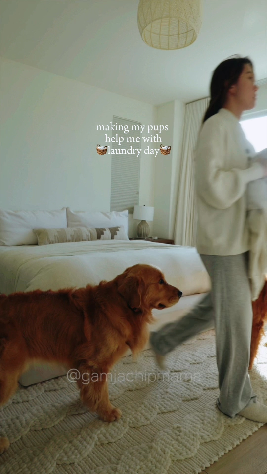 The goodest pups helps with laundry 

#LTKGiftGuide #LTKstyletip #LTKfamily