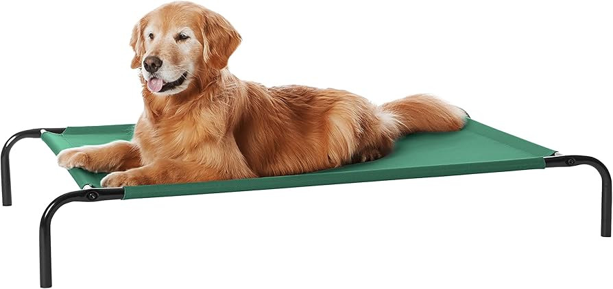 Amazon Basics Cooling Elevated Pet Bed, Large (51 x 31 x 8 Inches), Green | Amazon (US)