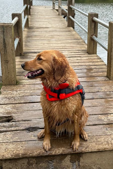 We love this life jacket for dogs ! It’s on sale for prime day. Linking it and other outdoor adventure essentials. 

#LTKunder50 #LTKxPrimeDay