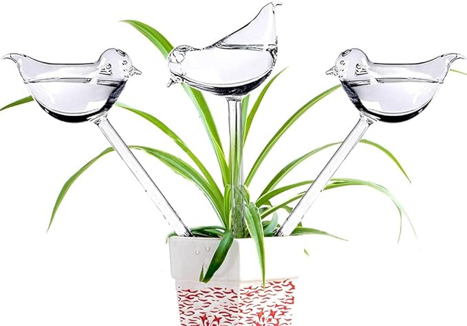 Glass Plant Watering Globes, Self Watering Globes Bird Shape, Self Watering Planter Insert, Plant... | Amazon (US)