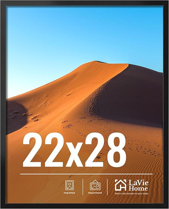 LaVie Home 22x28 Picture Frame for Wall Display, 22x28 Black Picture Frame with HD Plexiglas, 22 ... | Amazon (US)