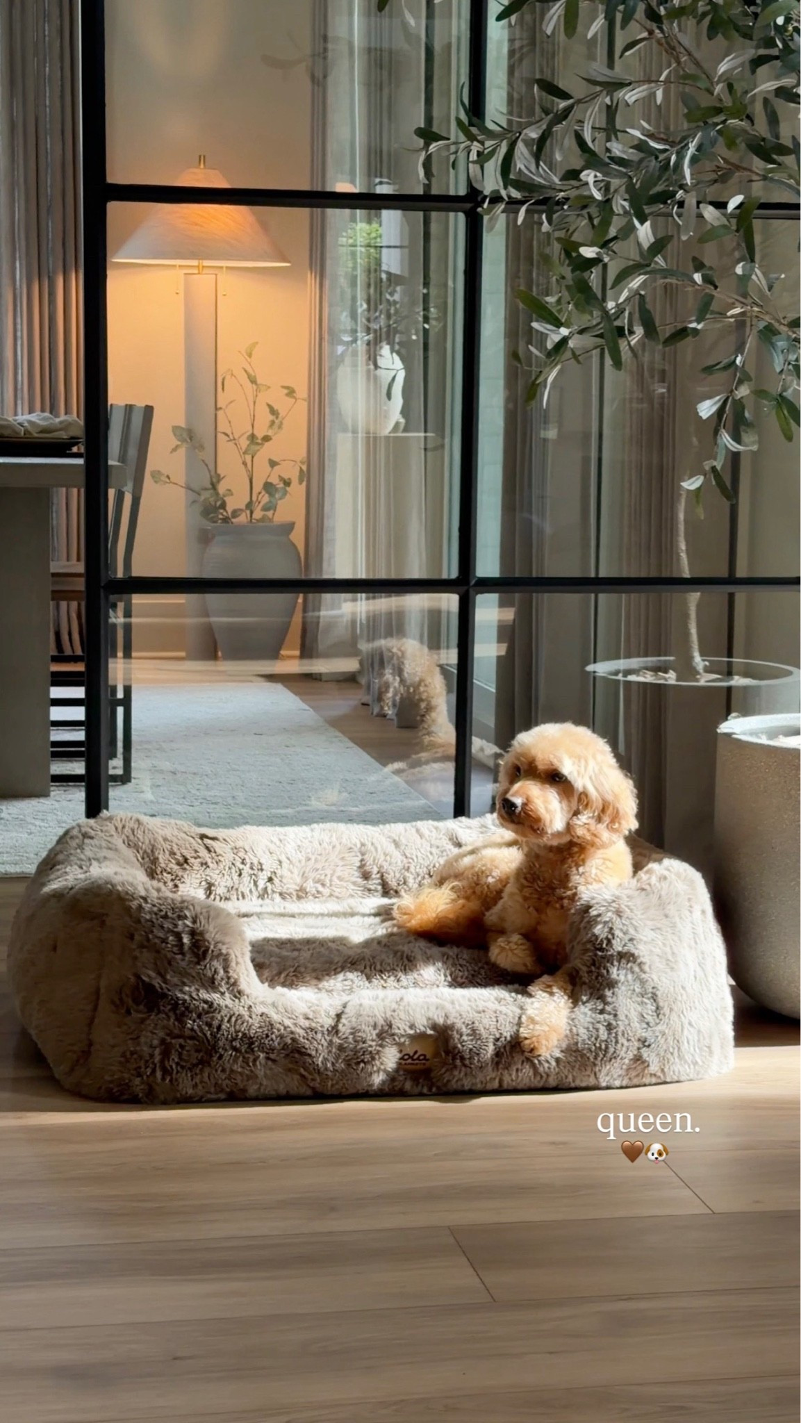 the comfiest bed from Lola 🤎🐶✨

#LTKHome