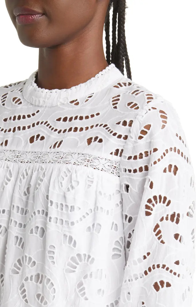 Embroidered Eyelet Long Sleeve Cotton Minidress | Nordstrom